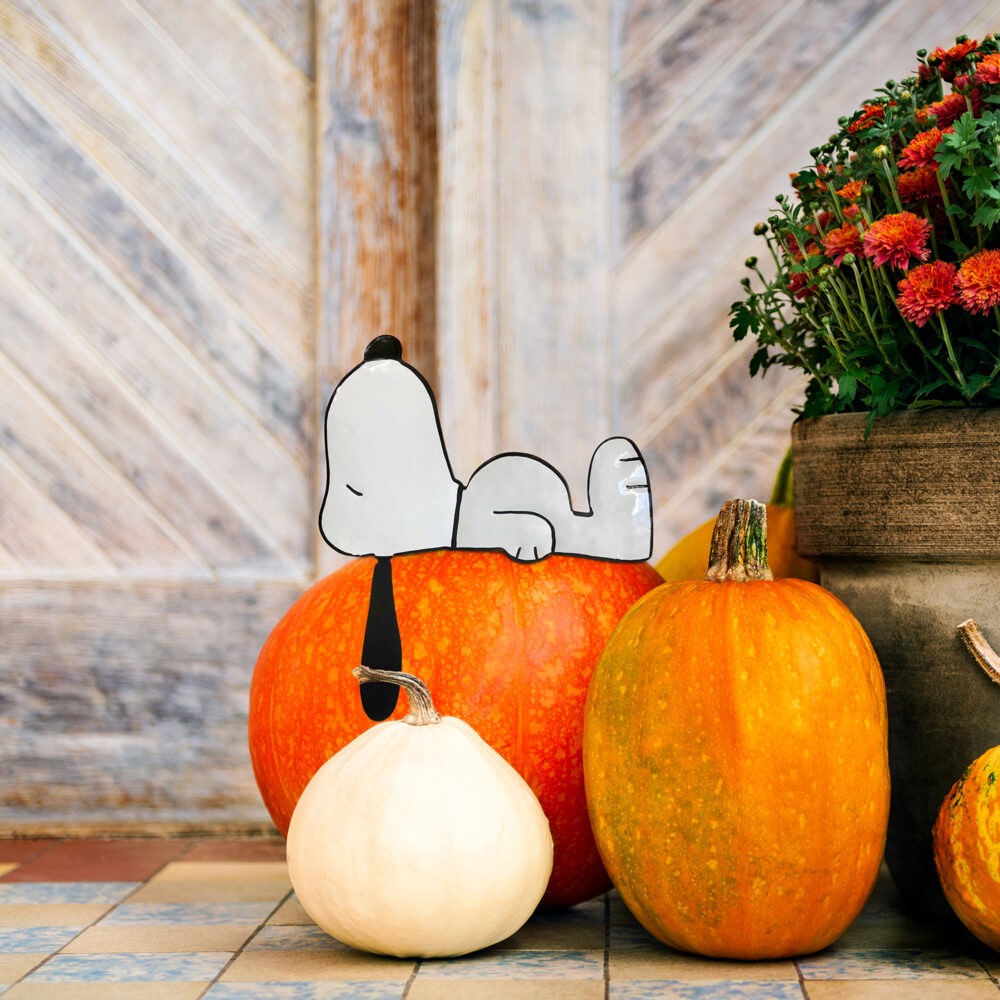 Peanuts Snoopy Pumpkin Press In Inch Icon Total Home Decor