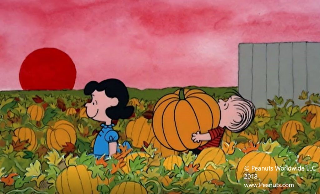 Peanuts Great Pumpkin Collection (6 Videos) » Total Home Decor