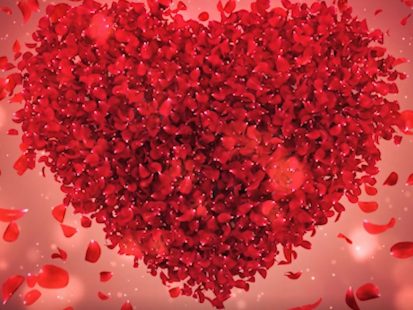 WindowFX Valentine’s Day Heart of Roses