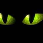 WindowFX Spooky Eyes » Total Home Decor