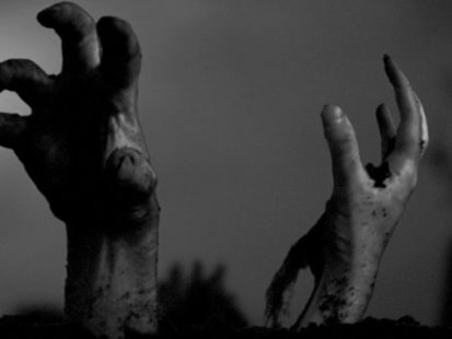 WindowFX Zombie Hands Rising