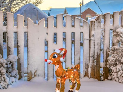 24″ RUDOLPH 3D PRE-LIT YARD ART STANDING RUDOLPH WITH C9 LIGHTS