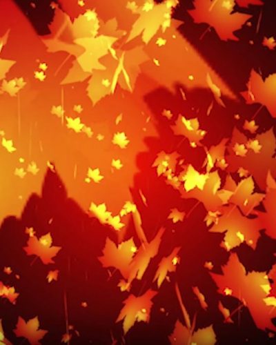 28803_Tha_Falling-Leaves_2018_Horizontal-photo-1.jpg