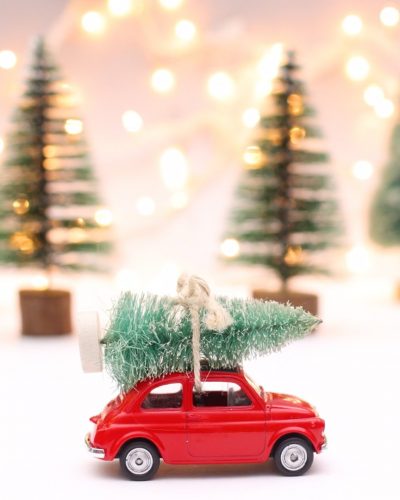 28887_CUT-AND-RUN_CHRISTMAS_CAR_00